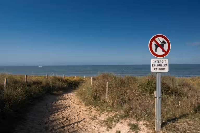 destinations abordables pour août : Où s&rsquo;envoler à moins de 150 € l&rsquo;aller simple ?