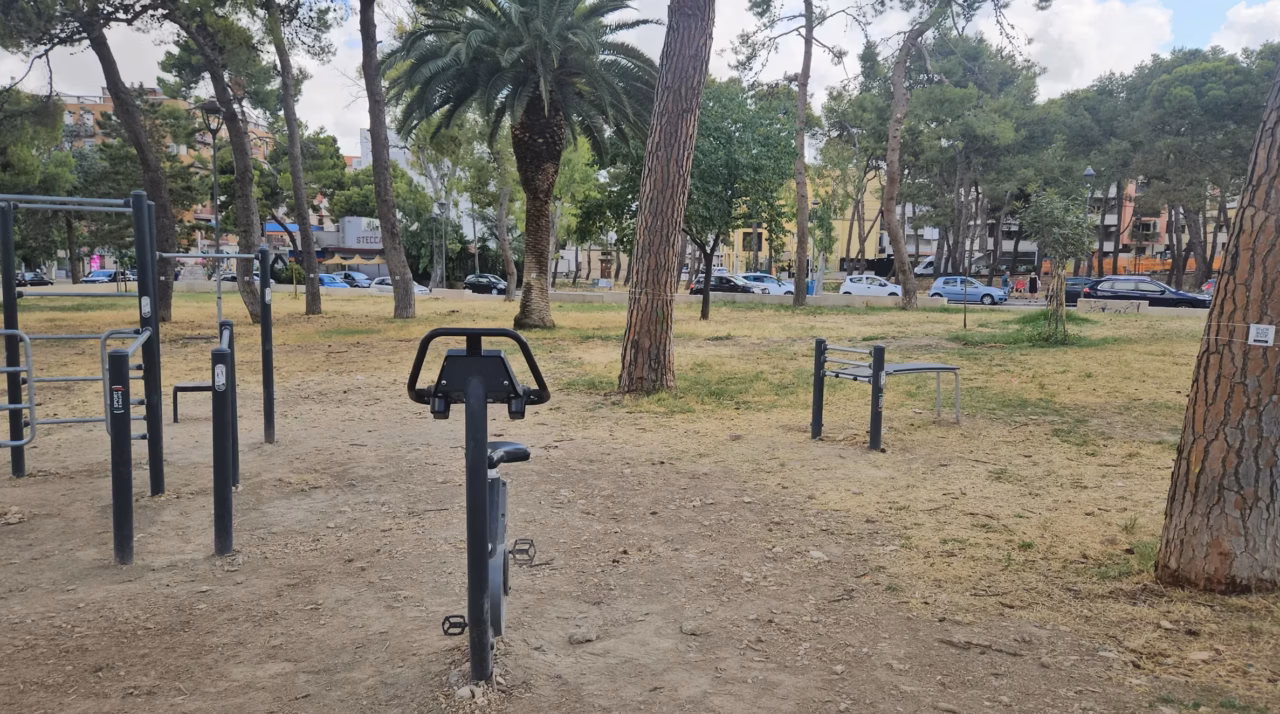 Park4Night : l&rsquo;application incontournable pour la vanlife
